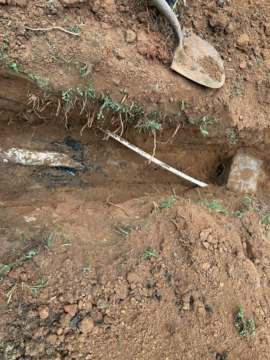 Landscape crew stripped pipe from Septic Tank to D