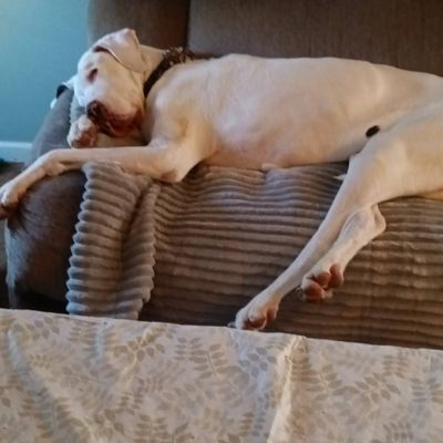 Avatar for Pet Stuff--- VISIT US ON FACEBOOK