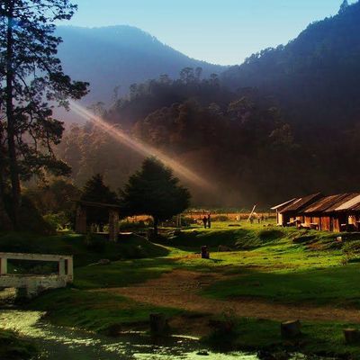 Avatar for Francisco  Ortiz