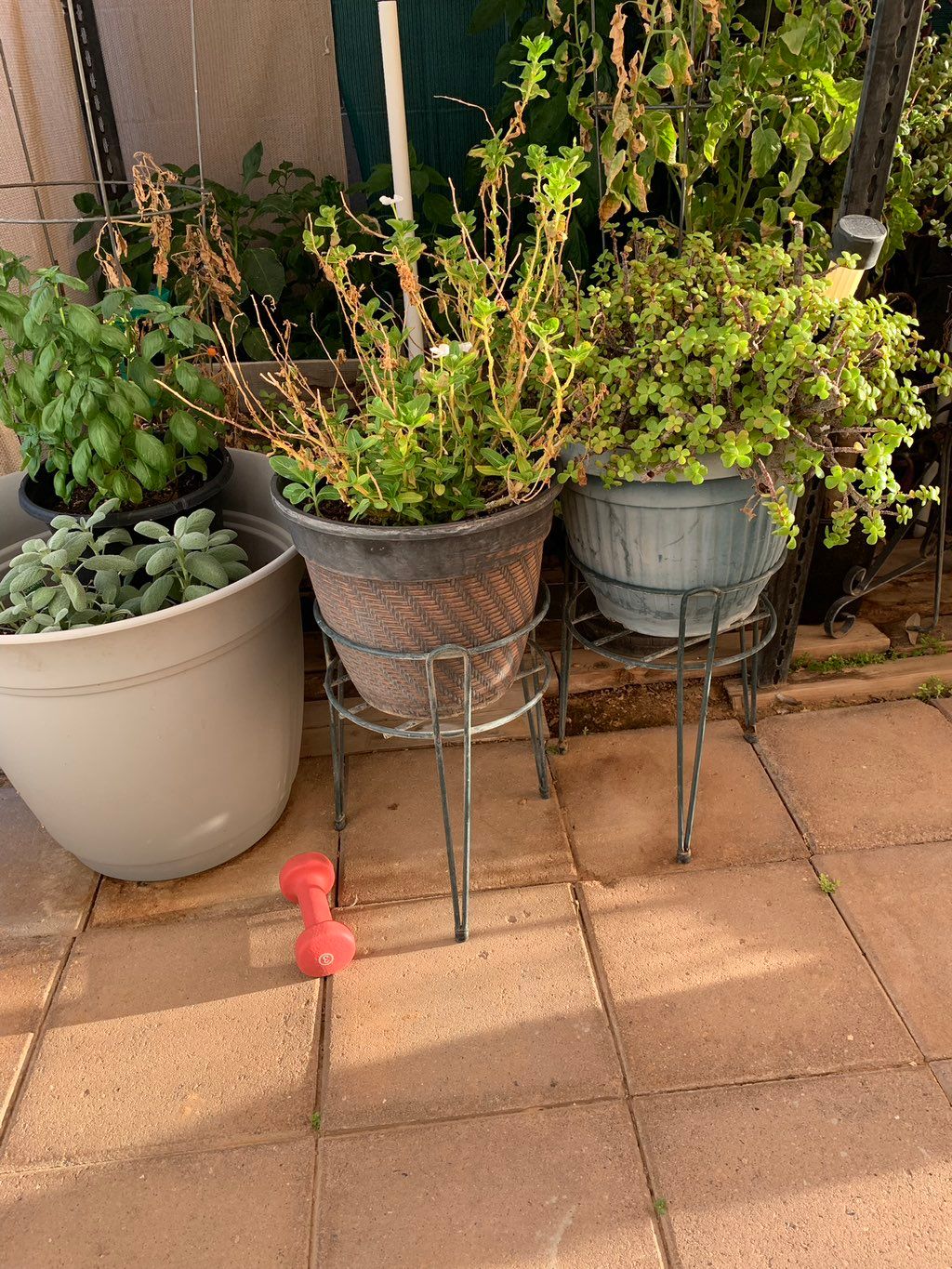 Customer photos