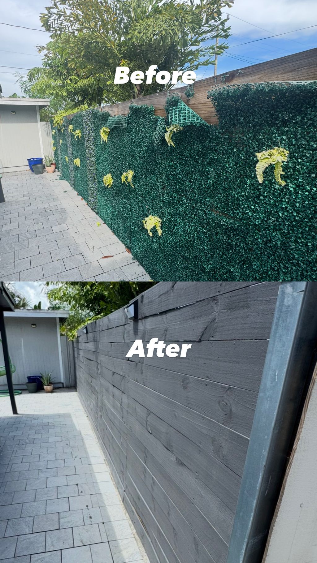 Projects and media