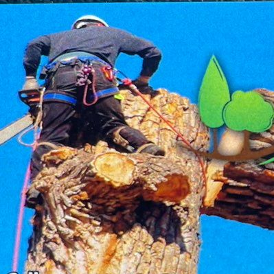 Avatar for Argueta Tree & Fence Service