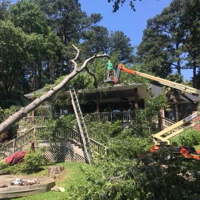 Avatar for AAA Landscaping and Tree Service