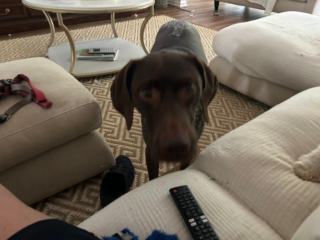 Sadie