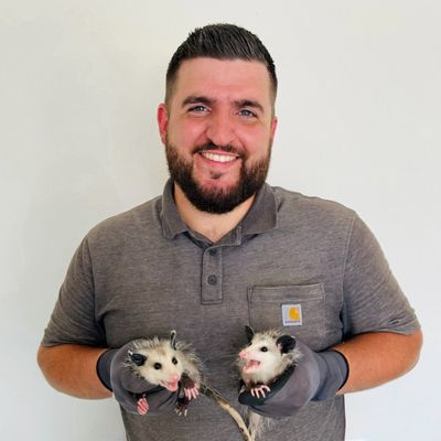 Avatar for DFW Wildlife Solutions, LLC