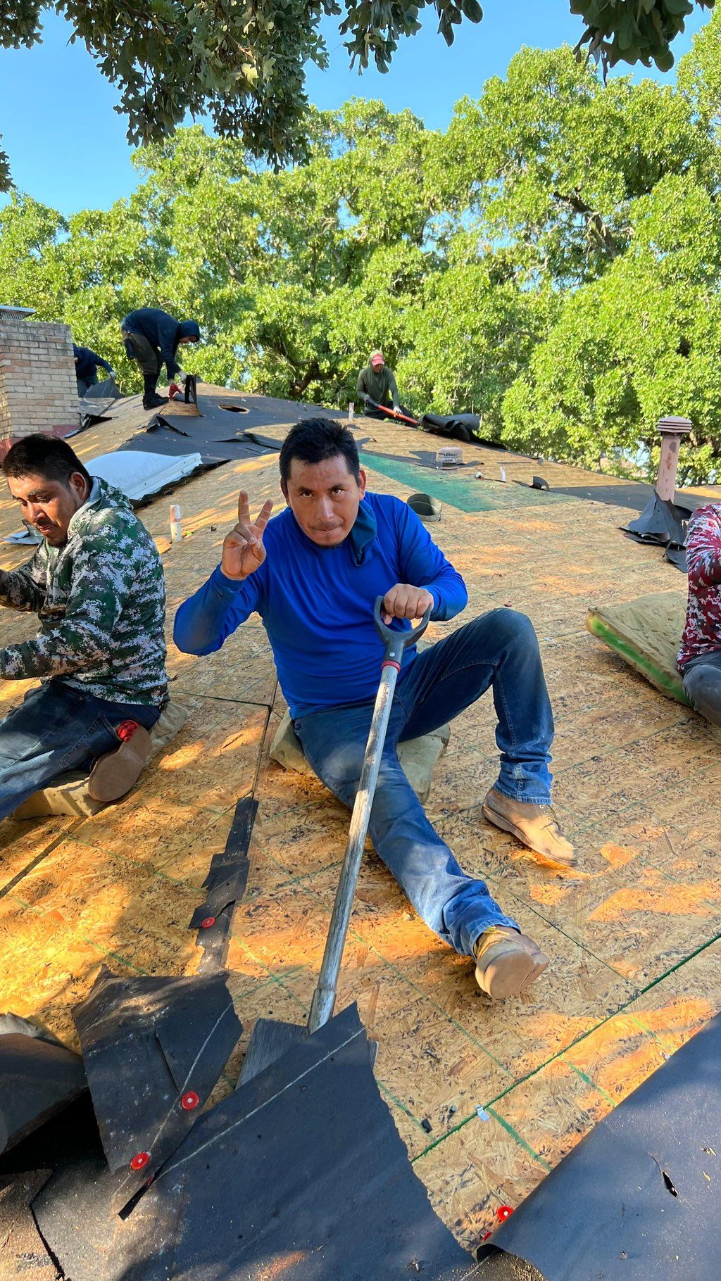 Projects and media