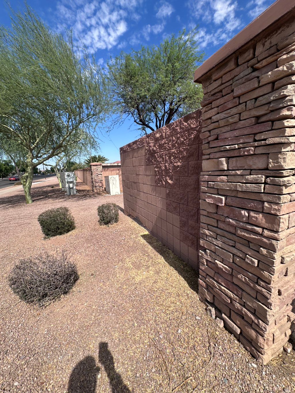 Projects and media