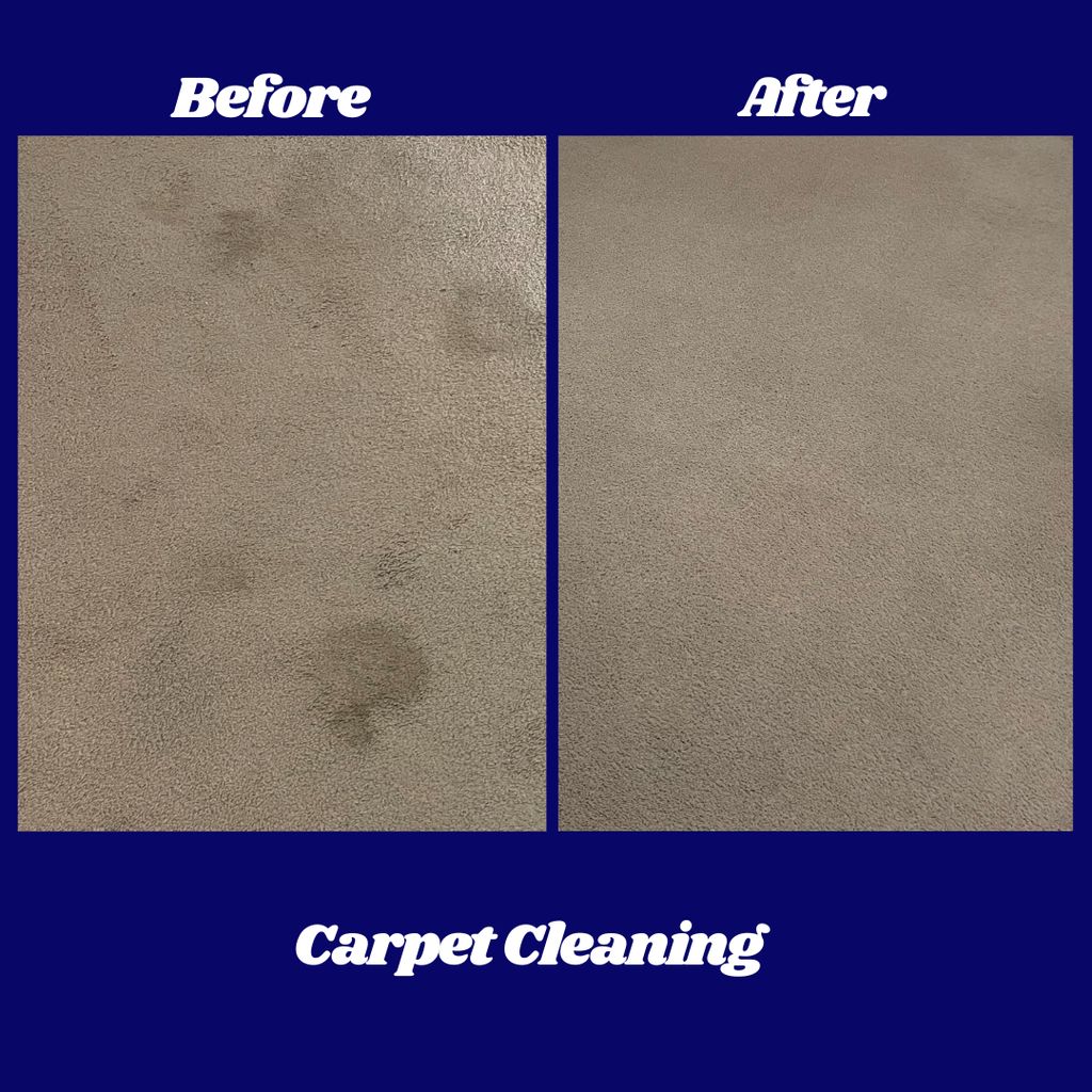 Carpet Cleaning
