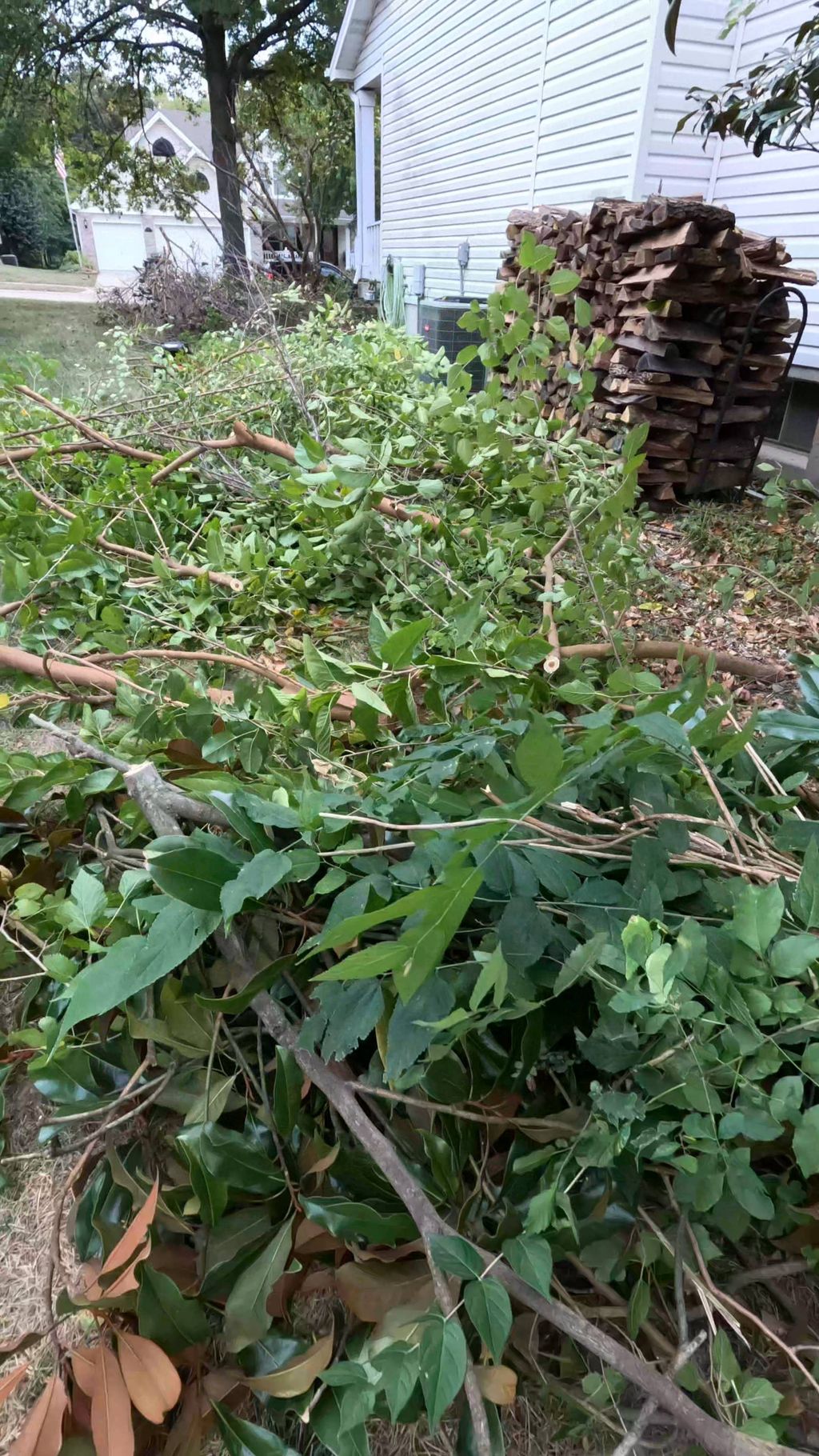 tree cutting 
