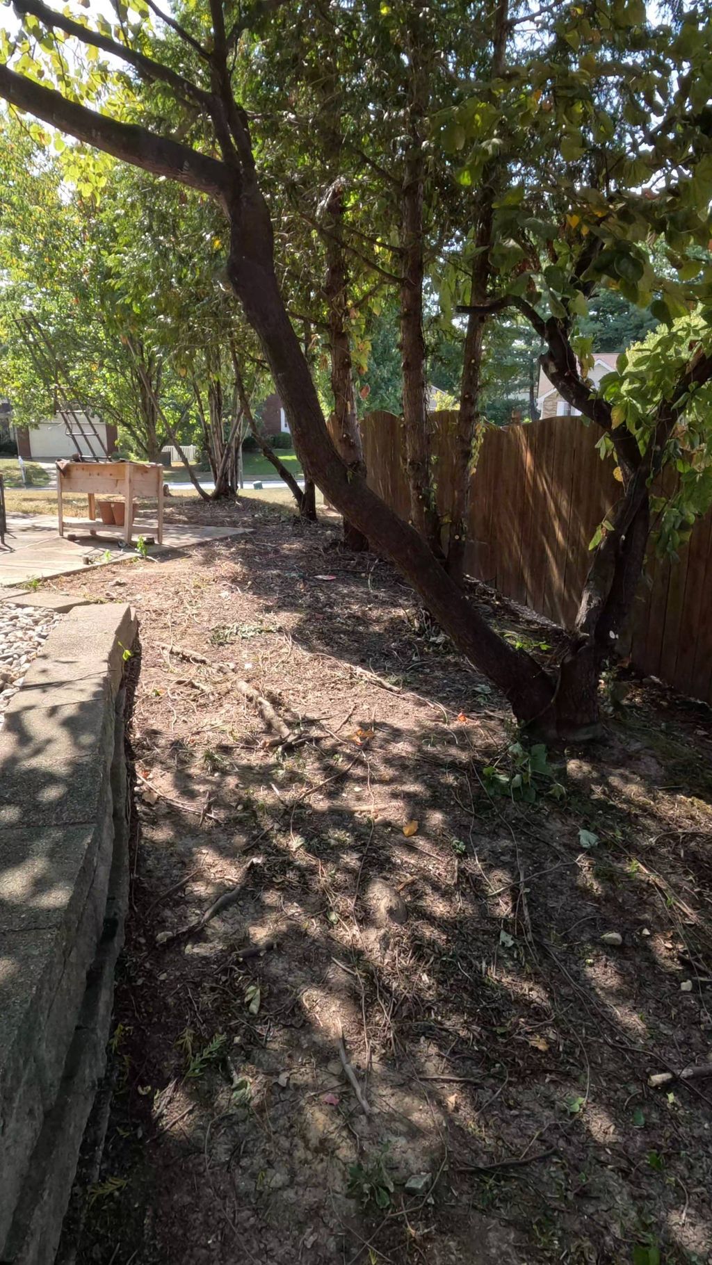 after clean-up