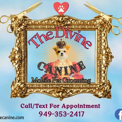 Avatar for The Divine Canine LLC- Mobile Pet Grooming