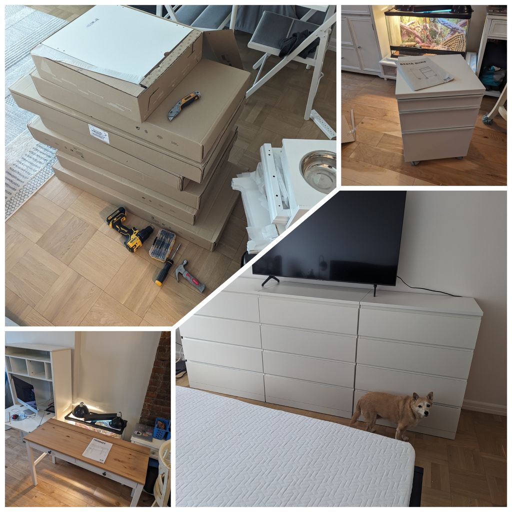 Projects and media