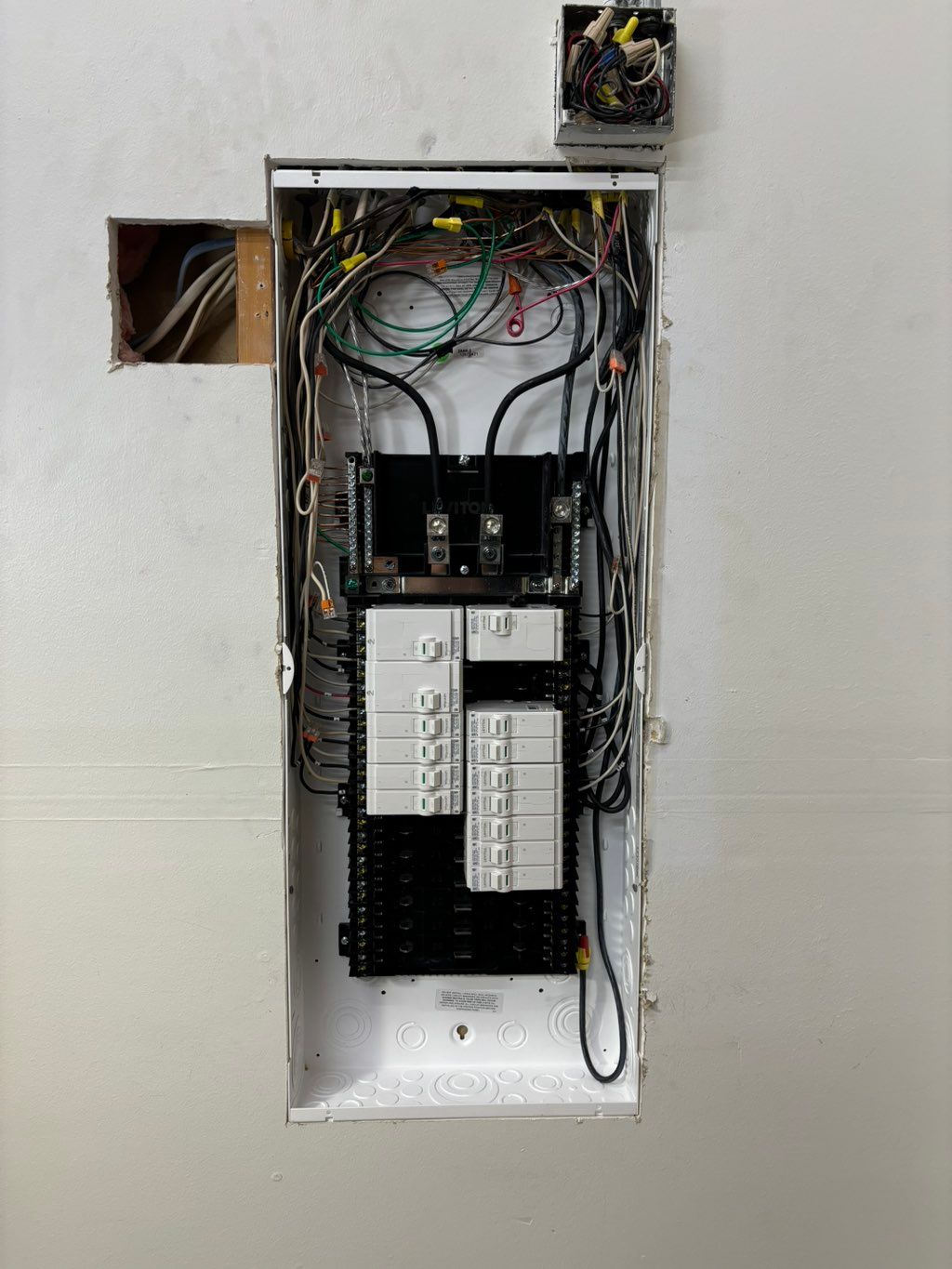 Projects and media