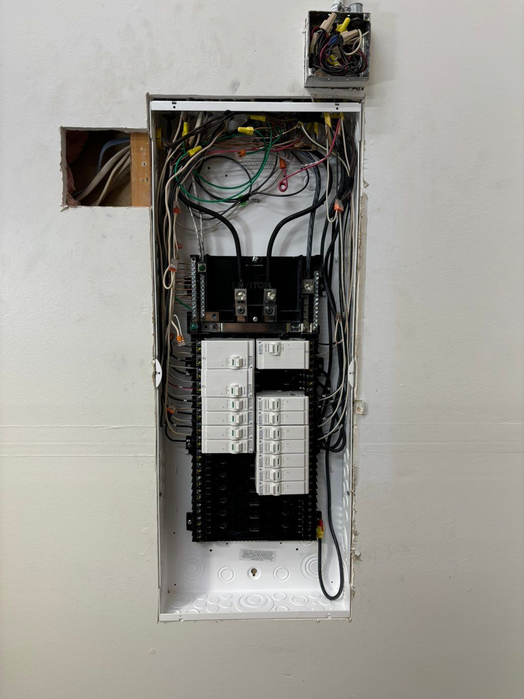 Projects and media