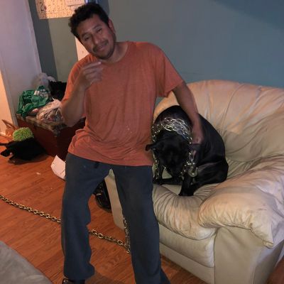 Avatar for Tereso Rios