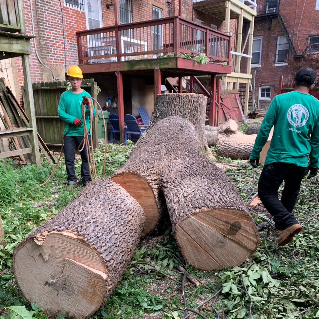 Portillo ii Landscaping LLC