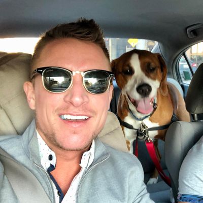 Avatar for Dan's Big Boy Dog Walking