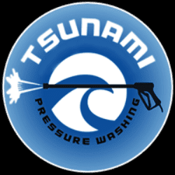 Avatar for Tsunami Pressure Washing, LLC