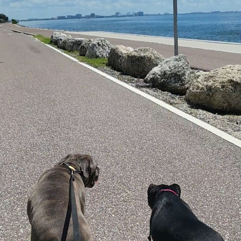 Watch Me Walk