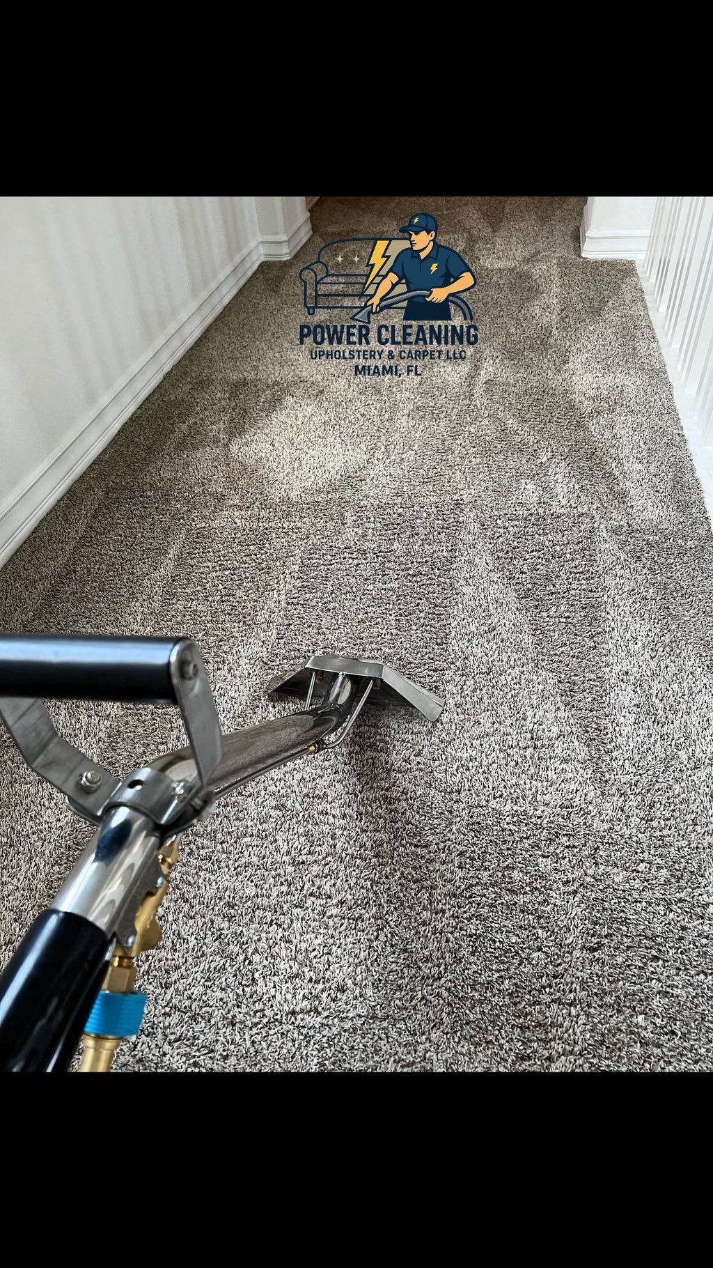 ✨Carpet cleaning process✨