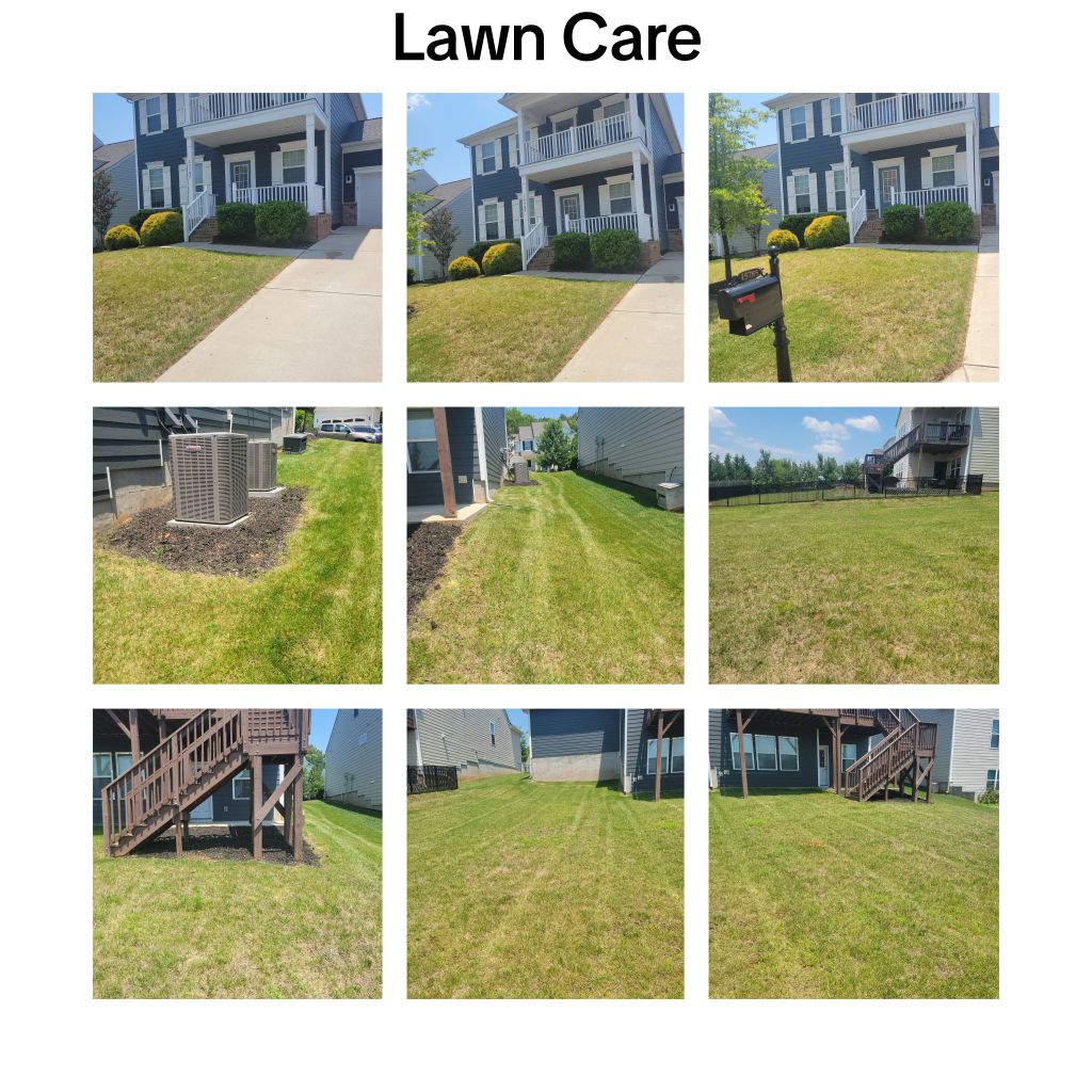 Lawn Care