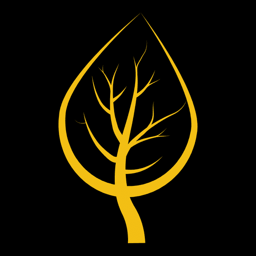 Aspen Peak Productions