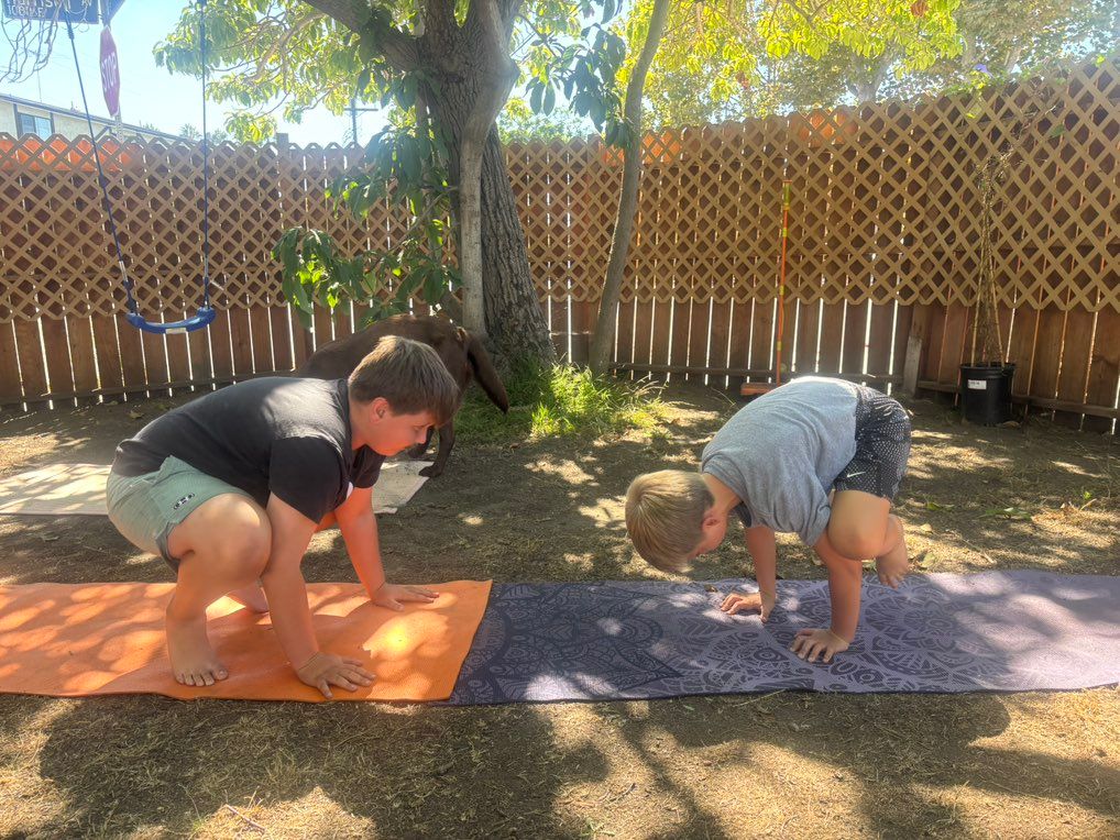Private Family Yoga Class 