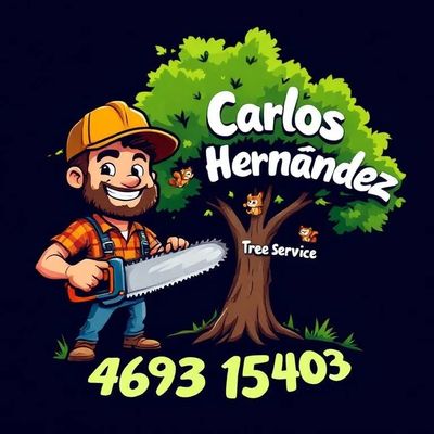 Avatar for Carlos Jr Tres service