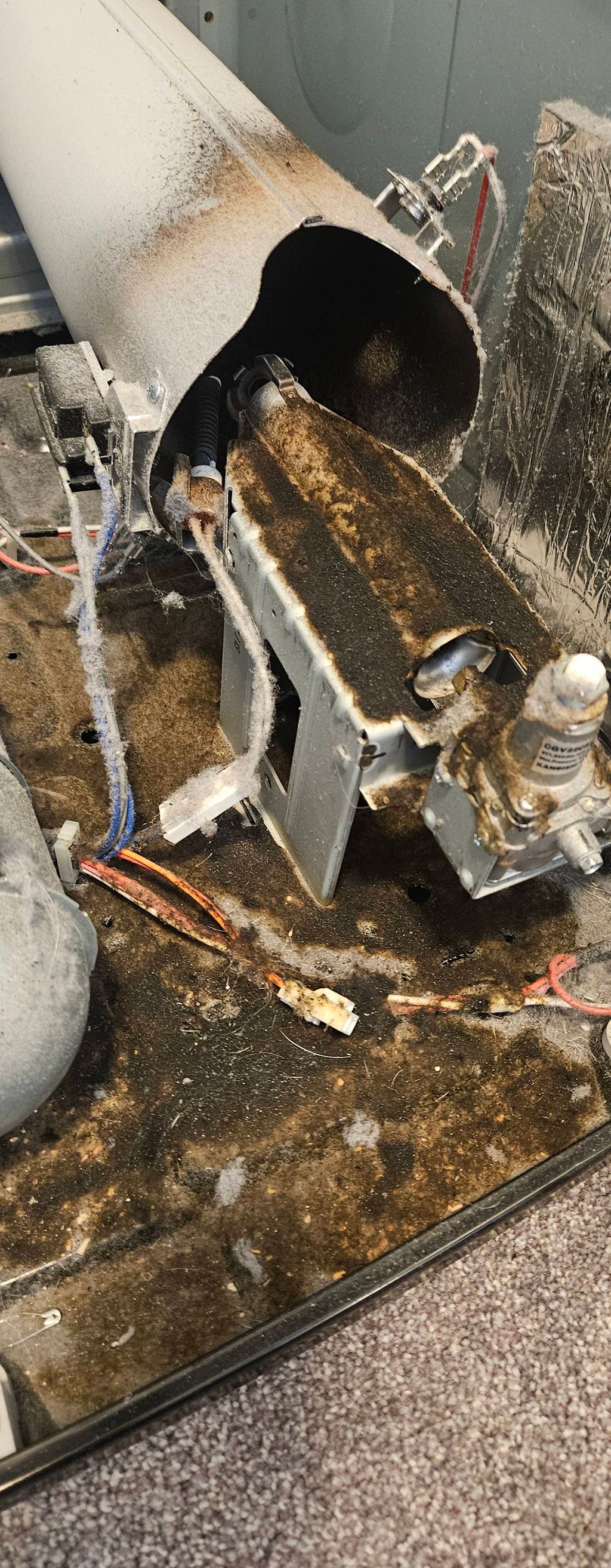 Before burnt lint removal. 