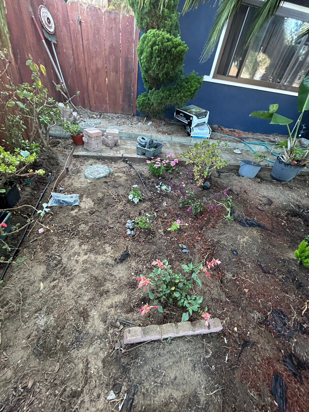 Customer photos