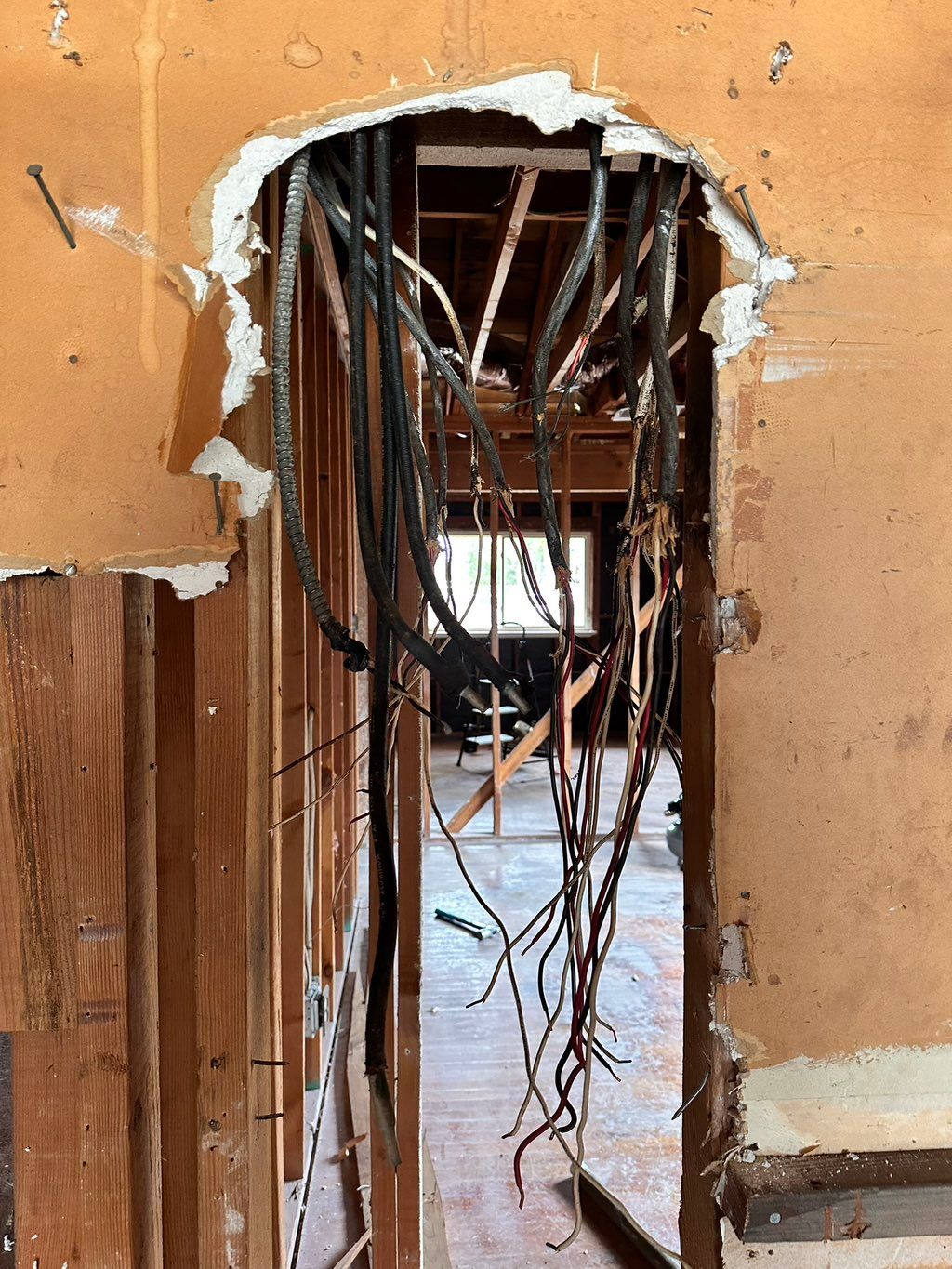 Removed old panel and all the old wire that was da