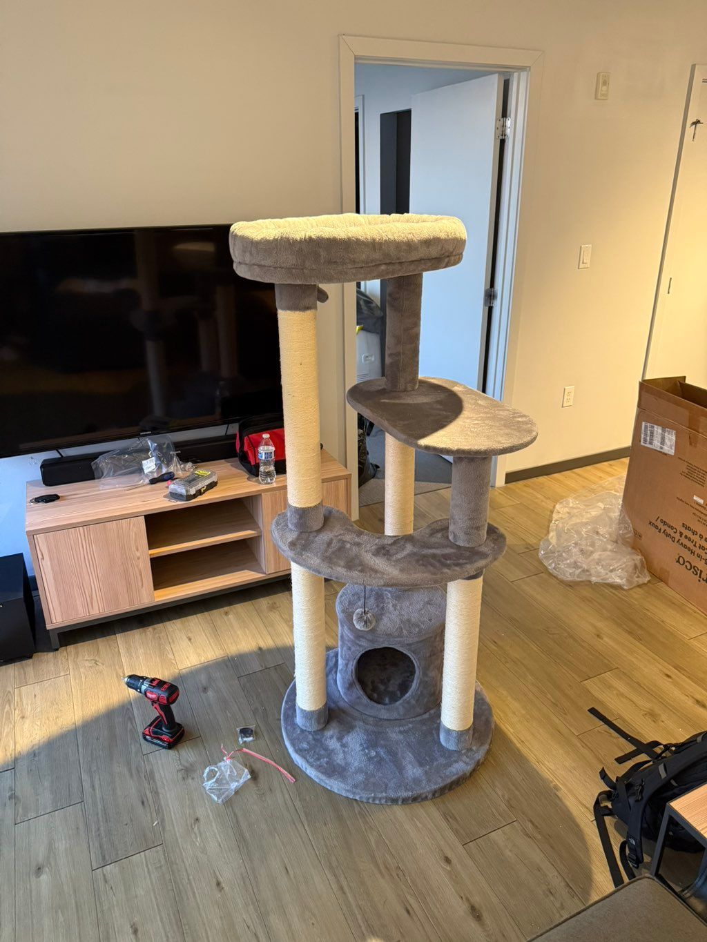 Projects and media