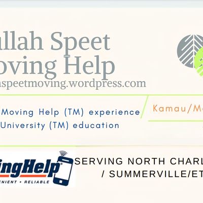 Avatar for Needmovers Text2793