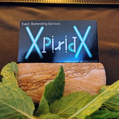 Avatar for Xpiritx Bartending Services Ltd