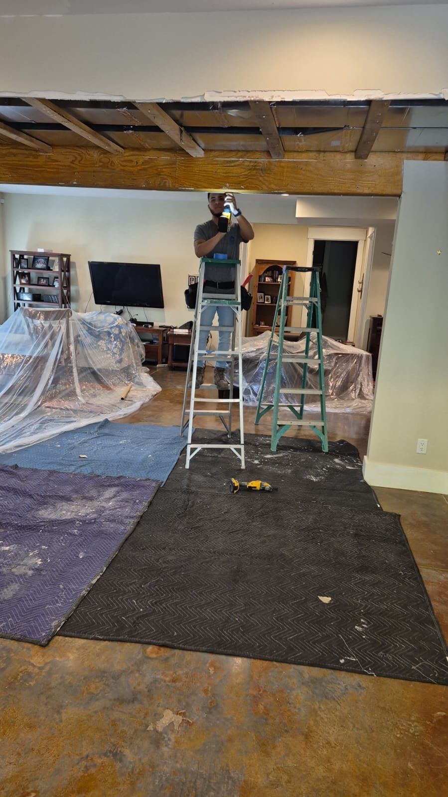 Projects and media