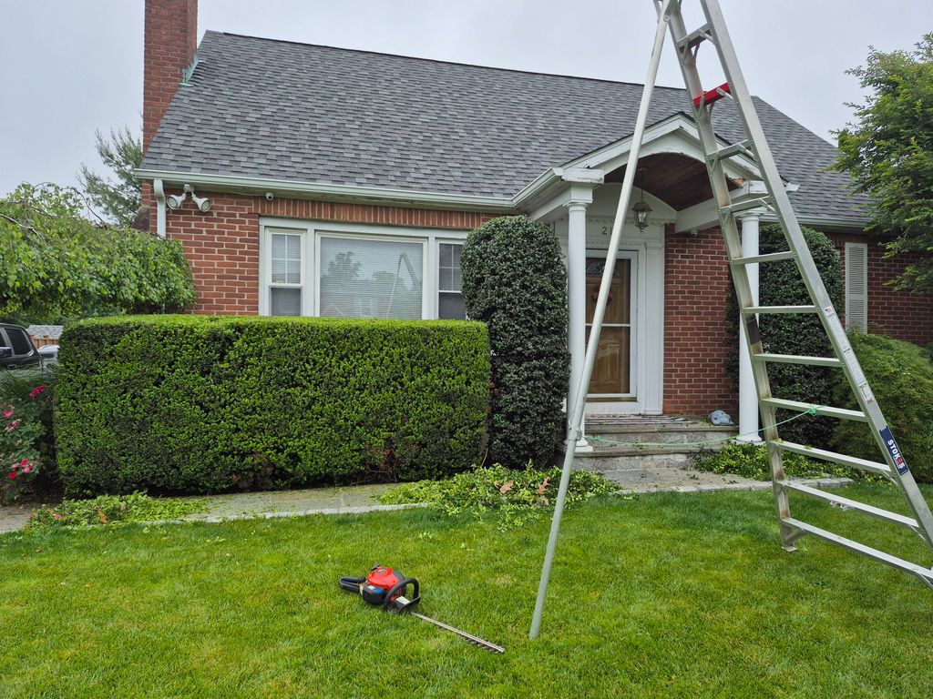 we do any type of pruning 