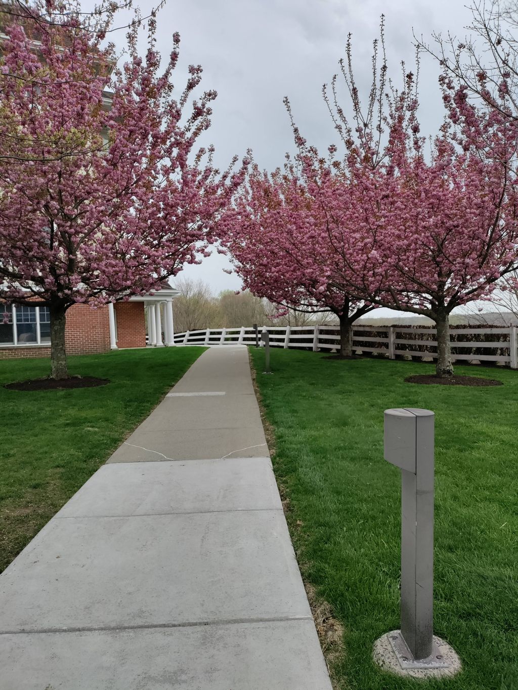 driveway cleaning 