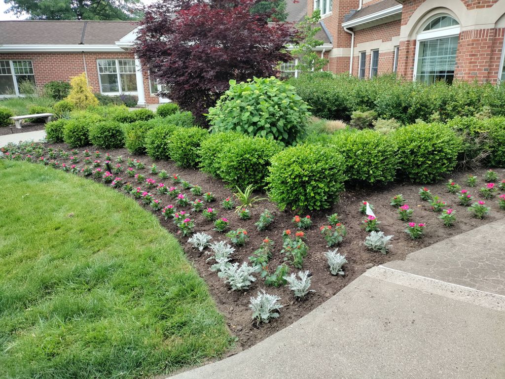 At morales landscaping we planting 