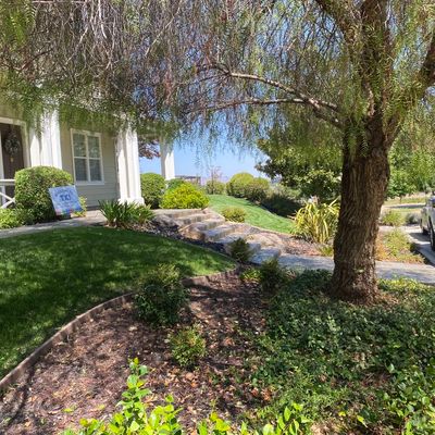 Avatar for Iniguez Landscaping