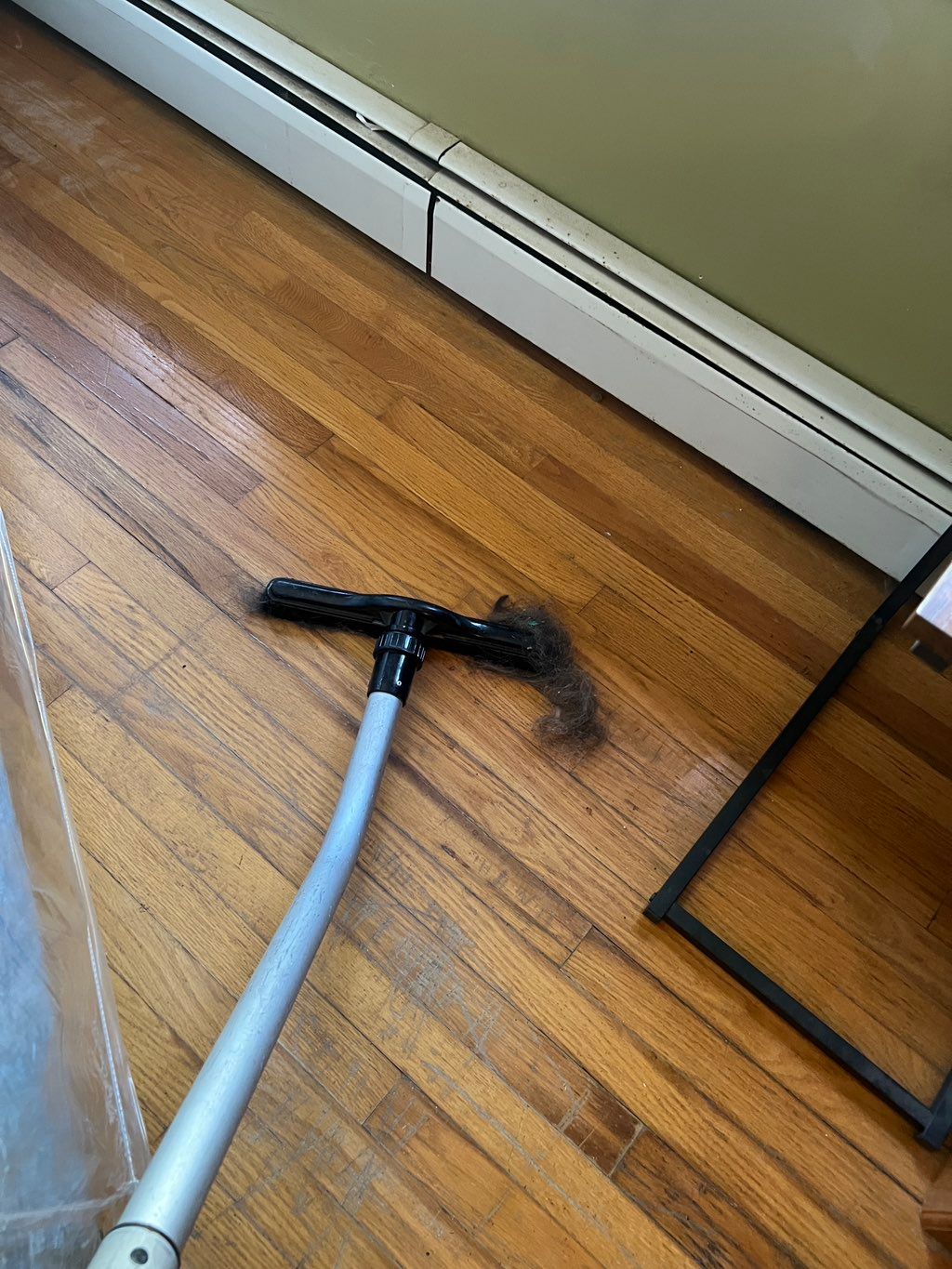 Pet hair behind couch- DEEP CLEANING 