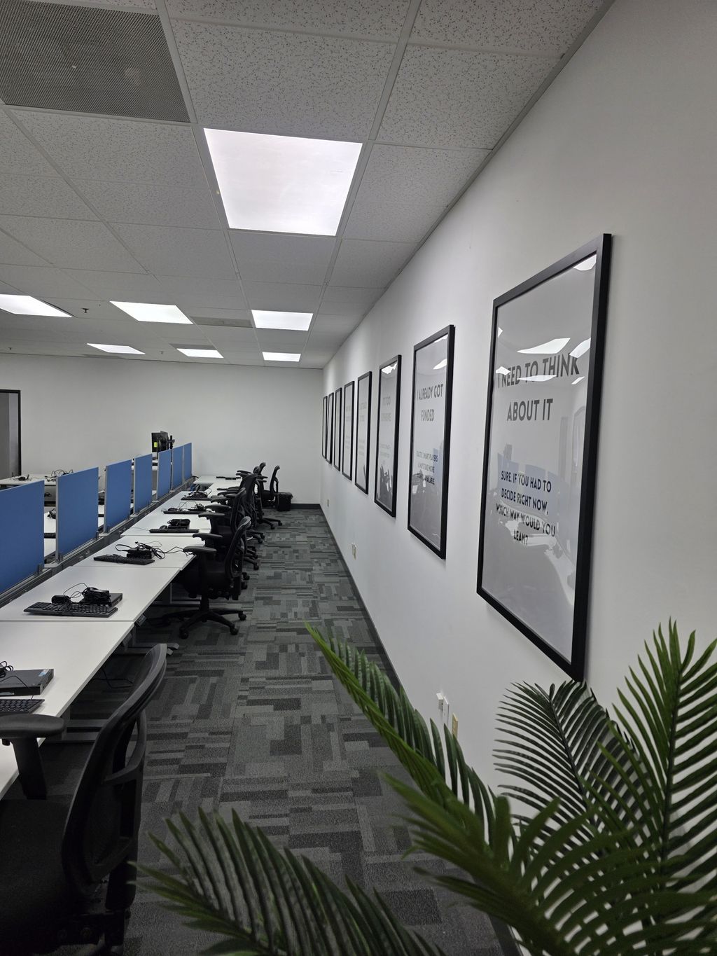 Projects and media