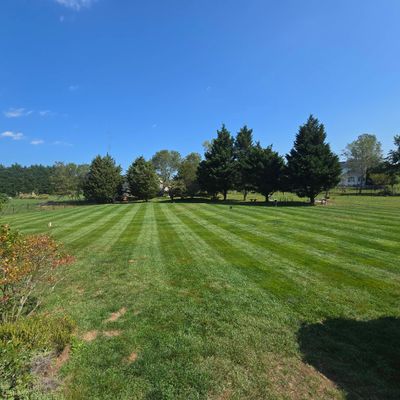 Avatar for Shuckin Best Lawns LLC