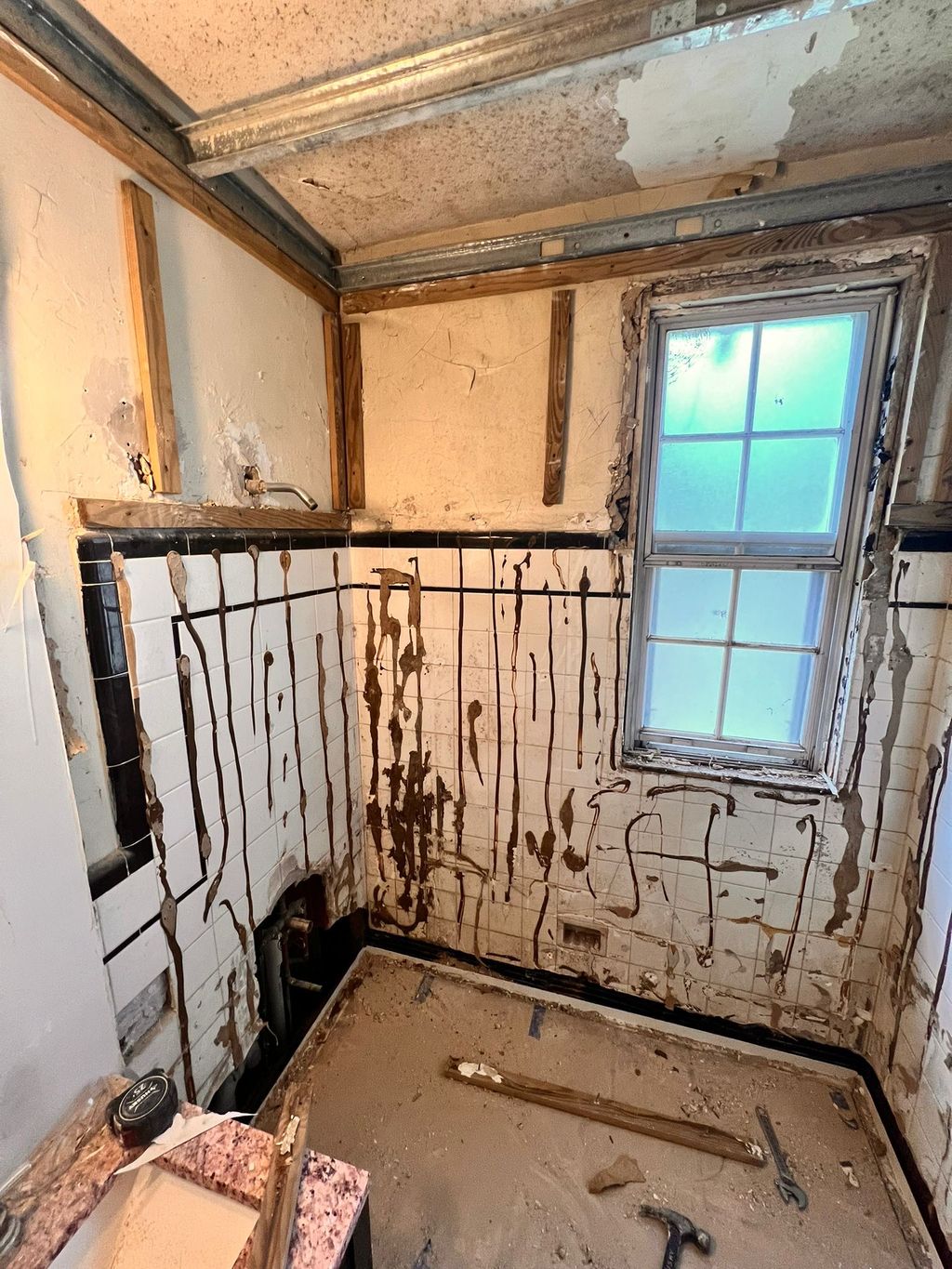 Bathroom demolition