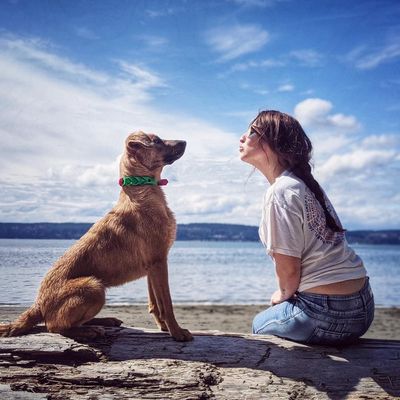 Avatar for Platform Designs