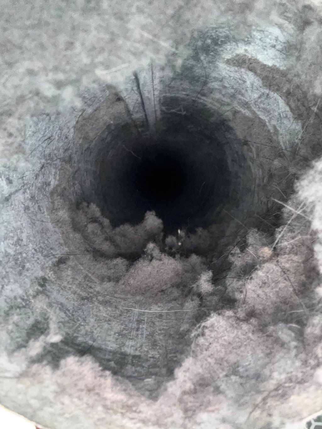 Lint buildup in dryer vent 