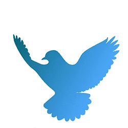 Avatar for Rising Calm Center