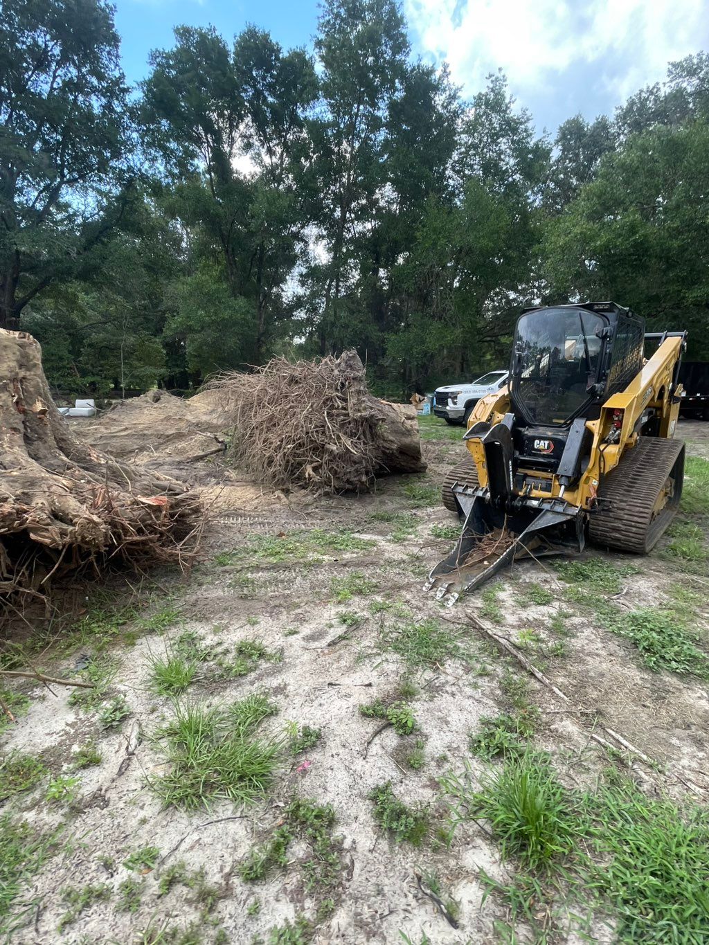 Stump removal!