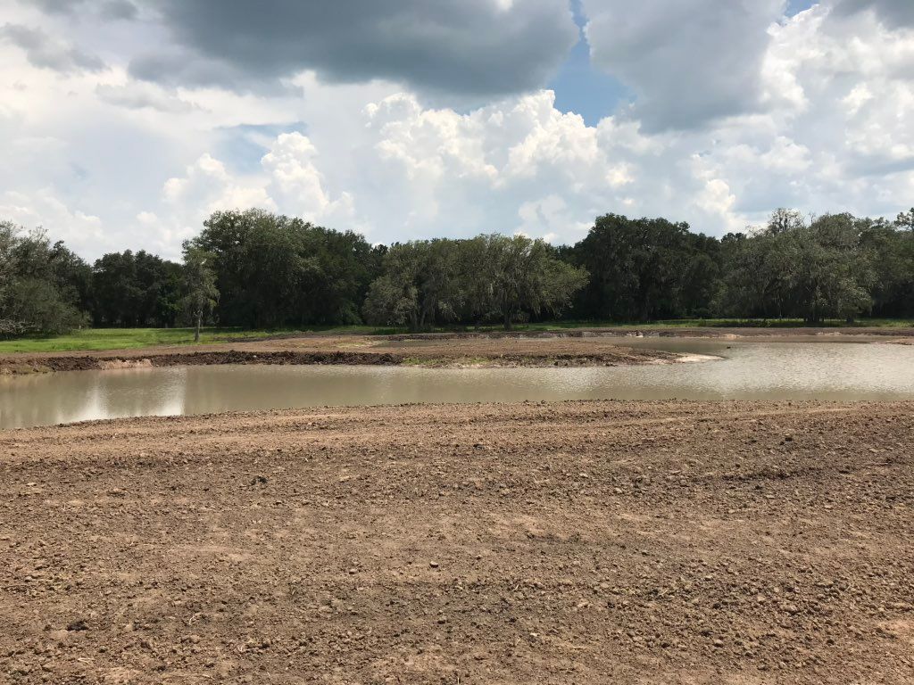 Grading & Leveling!