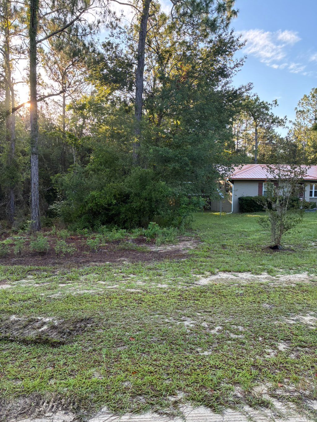 Land clearing before