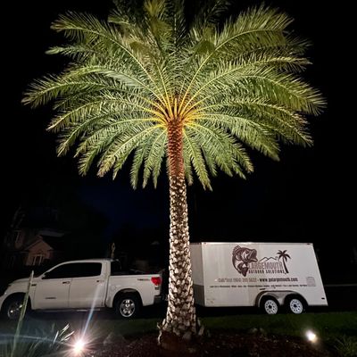 Avatar for Largemouth Outdoor Solutions